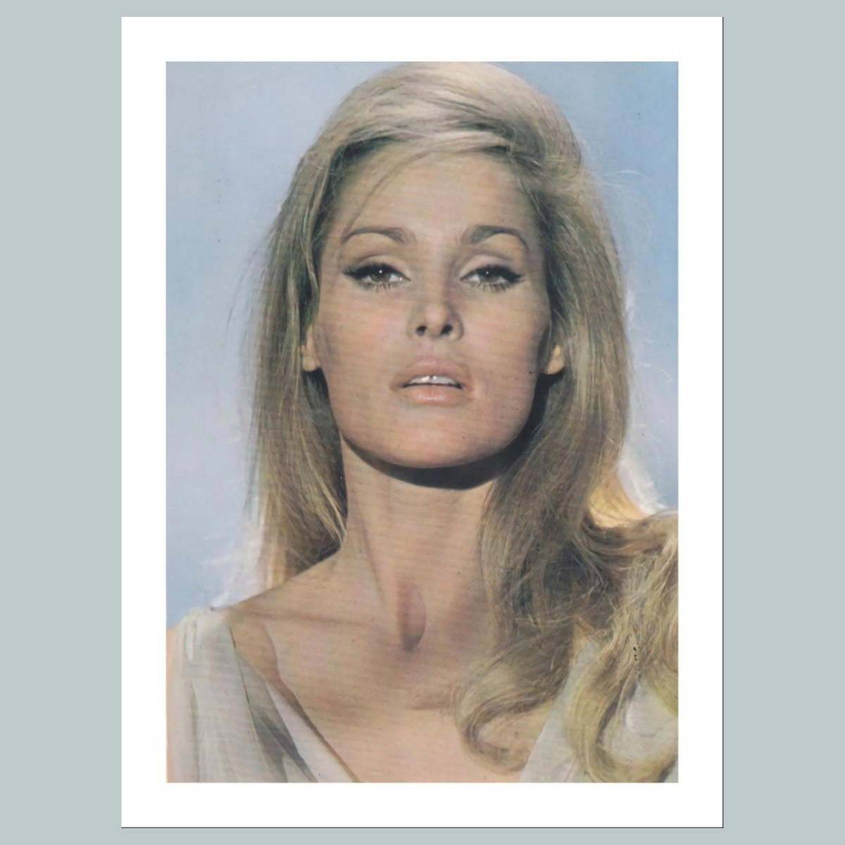 1534 Ursula Andress 8x10 Glossy Photo Fast-Secure Shipping MS