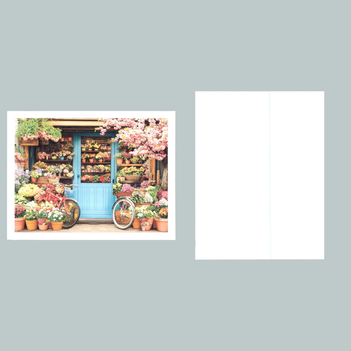 0385 P -8X10 Flower Shop Front Glossy Photo Fast-Secure Shipping MS