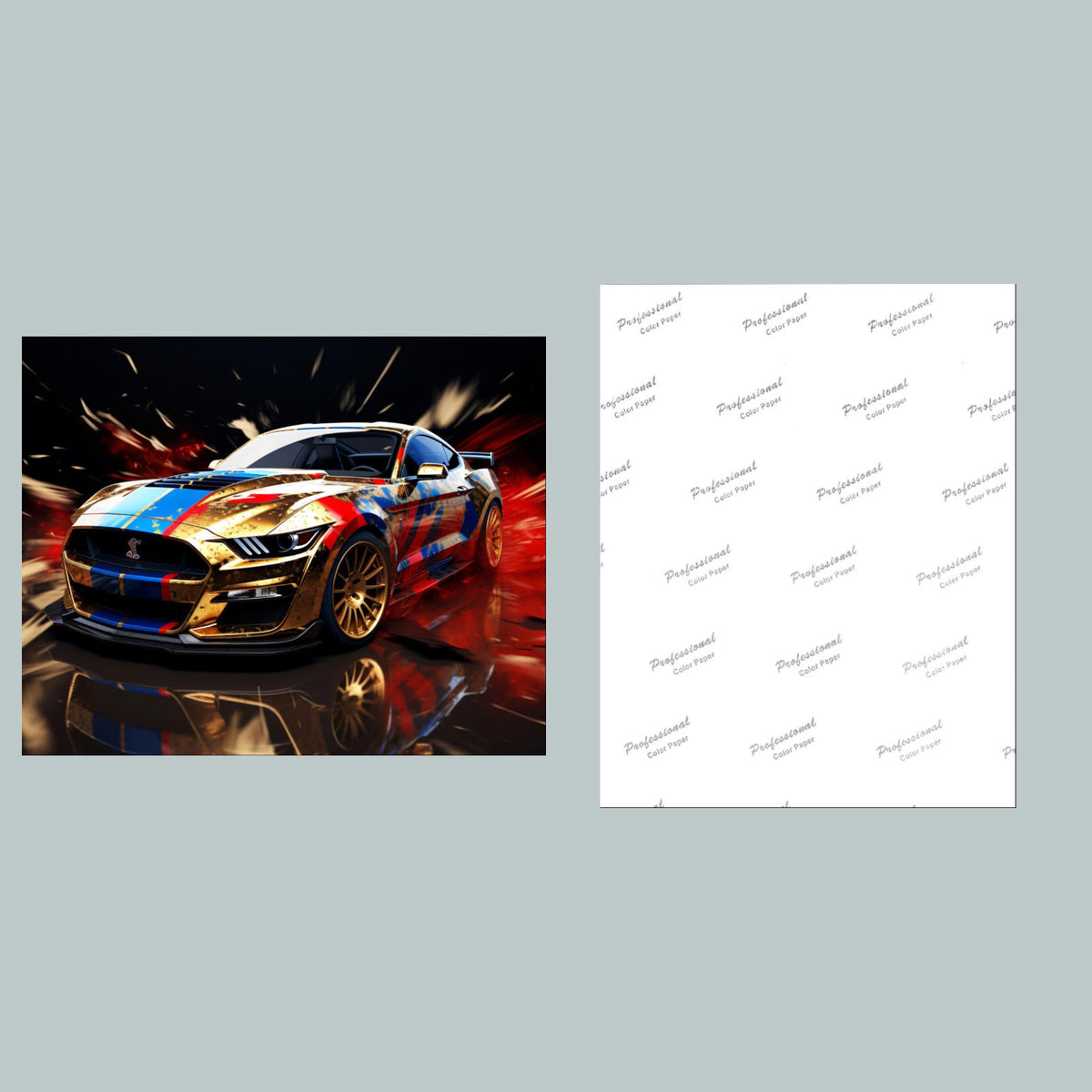 0879 8x10 Glossy Photo Mustang - Fast-Secure Shipping MS