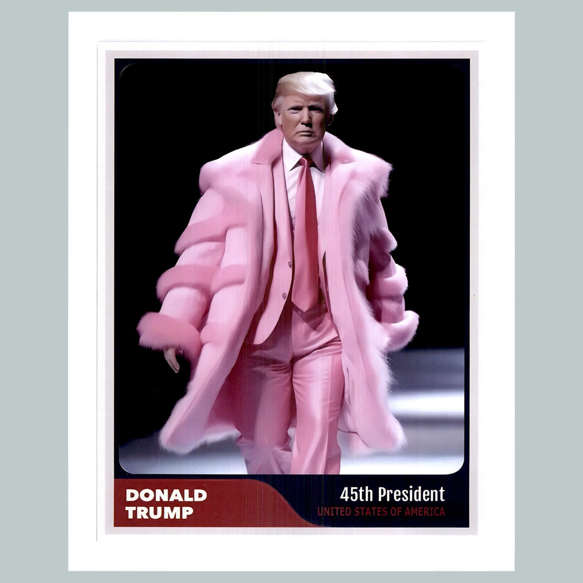 0502 P-8X10 Trump Runway Glossy Photo Fast-Secure Shipping MS