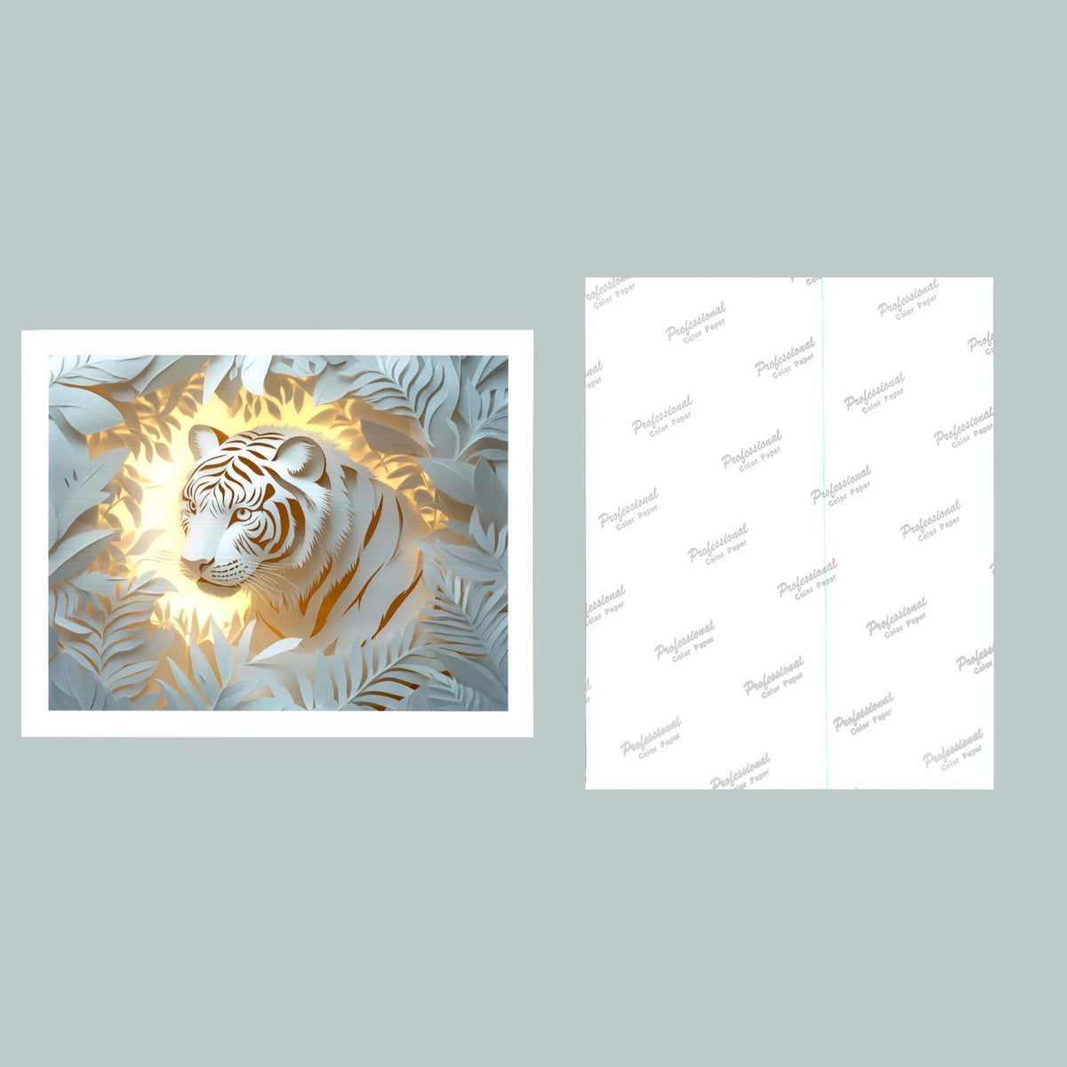 0020 P-8X10 White Siberian Tiger Glossy Photo Fast-Secure Shipping