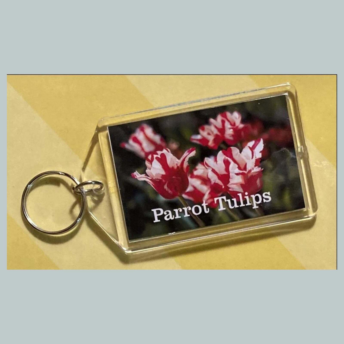 3671 Parrot Tulips Custom Hand Made Keychain