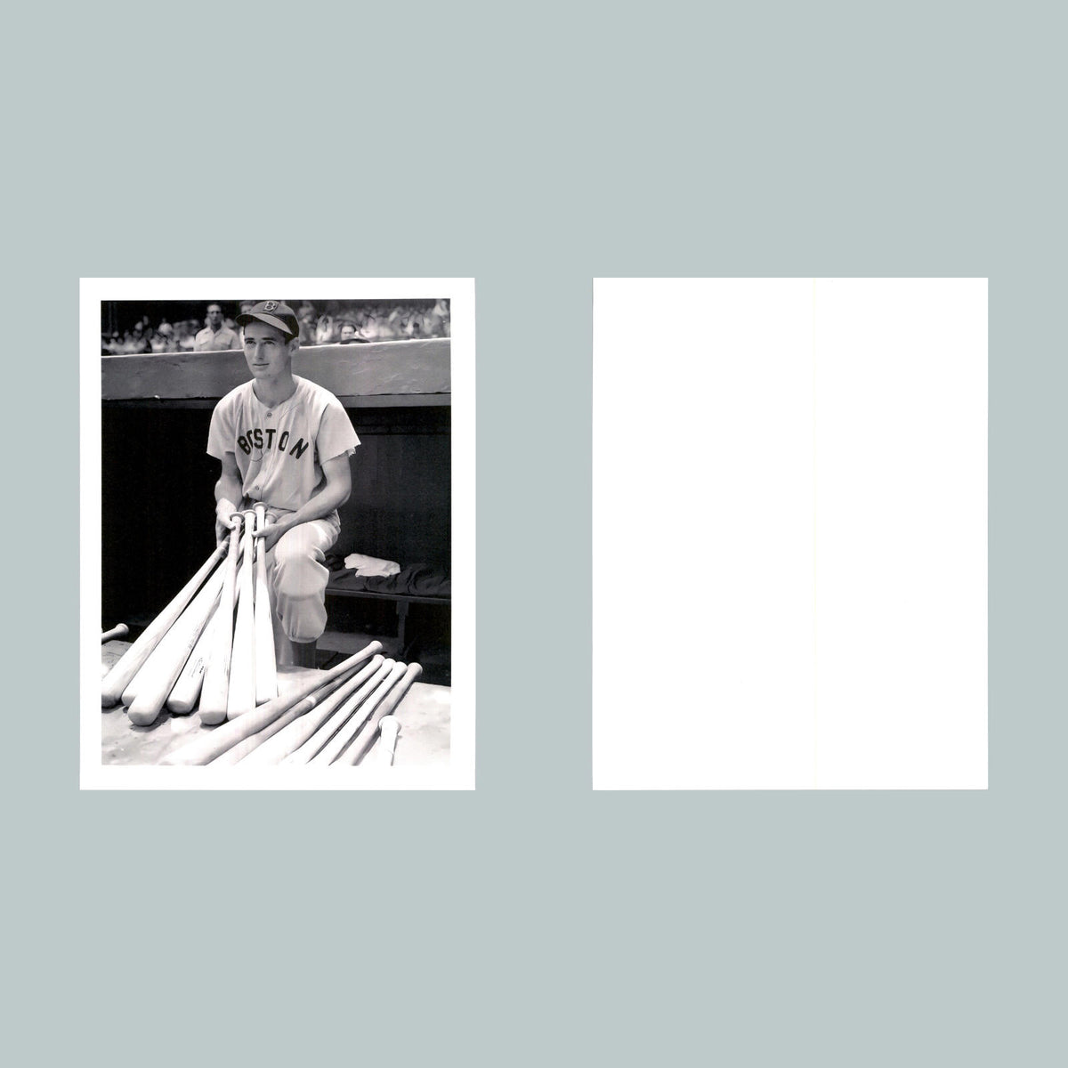 0109 P -8X10 Ted Williams with Bats Glossy Photo Fast-Secure Shipping BBL