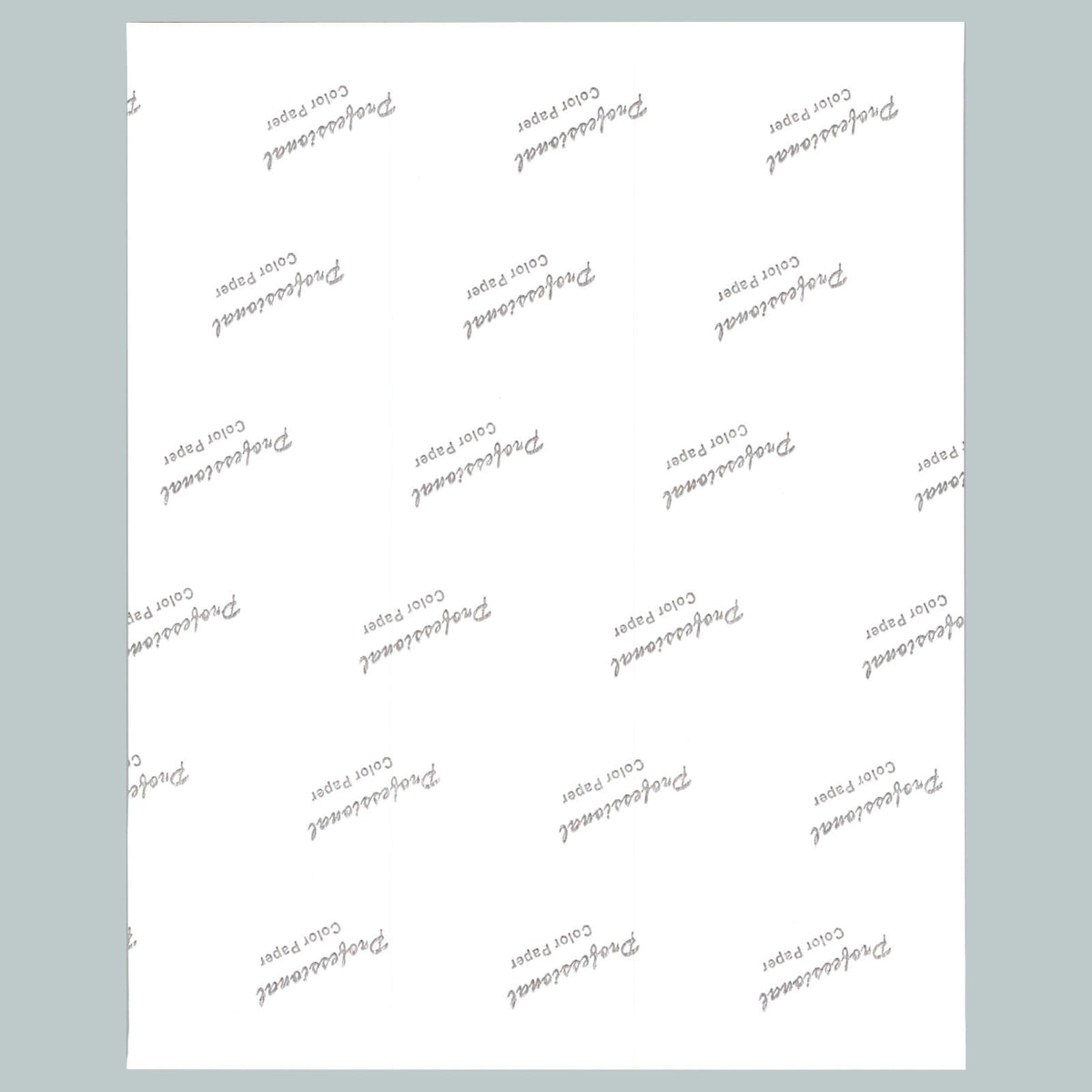 0529 P-8X10 White Bones Glossy Photo Fast-Secure Shipping MS