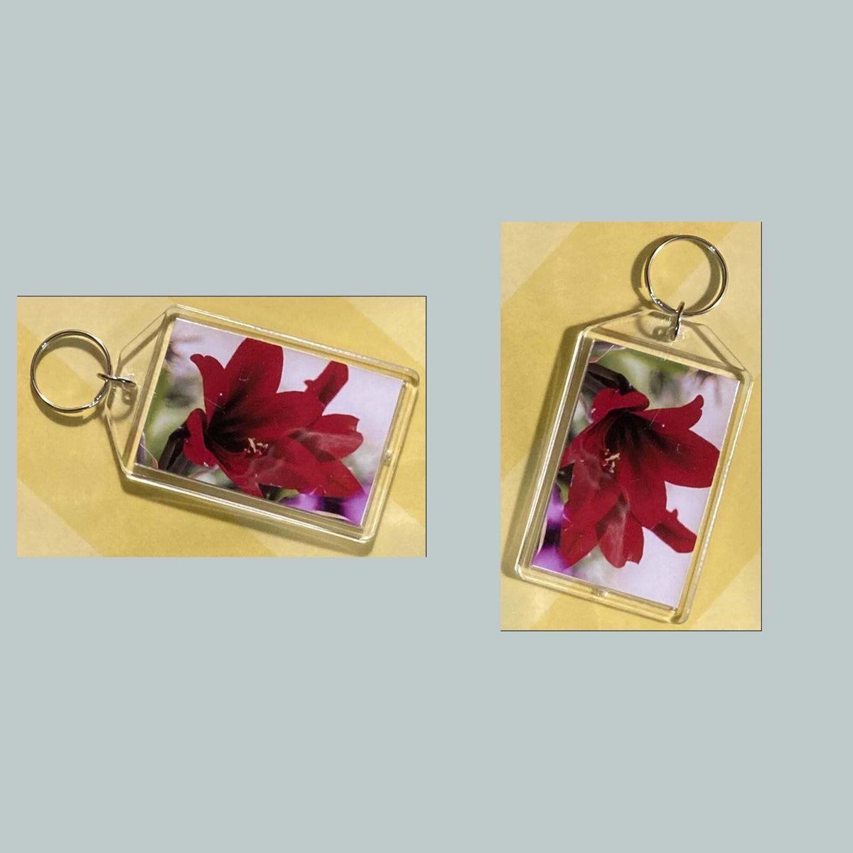 3684 Amaryllis Acrylic Keychain | Floral Keychain | Flower Lover Gift