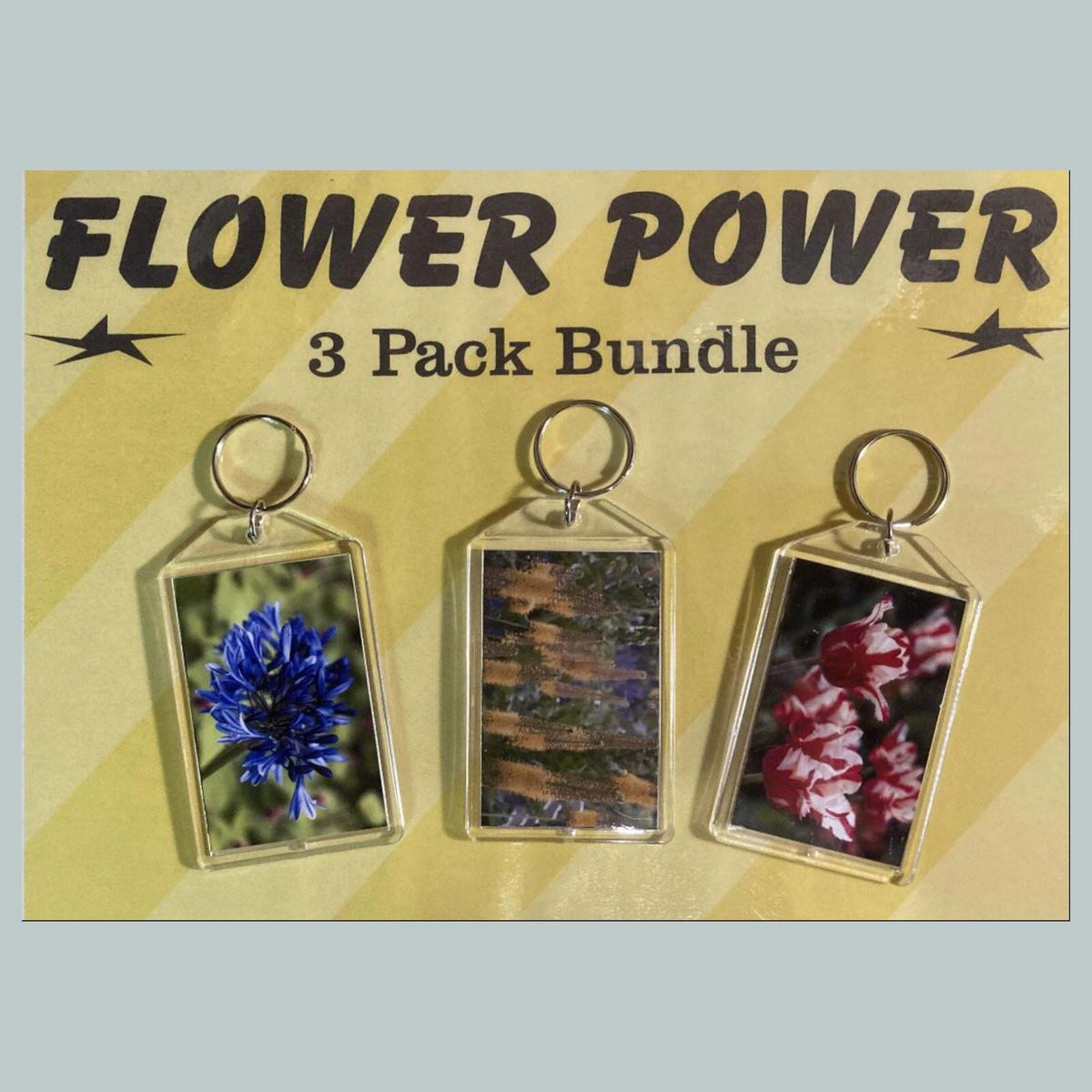 3701B Threefer Bundle Lily of the Nile/Foxtail Lily/Tulipss Acrylic Keychain