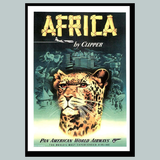 0002 8x10 Glossy Photo Africa Pan American MSC