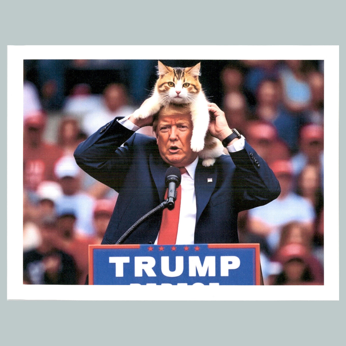 0203 P -8X10 Trump My New Maga Hat Glossy Photo Fast-Secure Shipping MS
