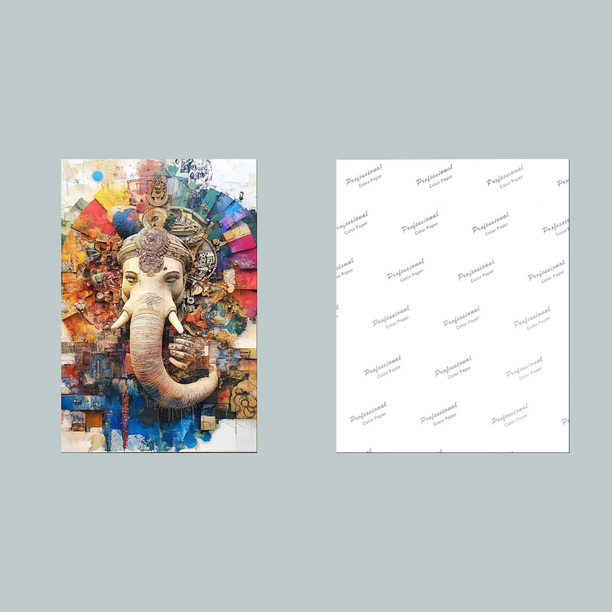 1281 Elephant 8x10 Glossy Photo - Fast-Secure Shipping MS
