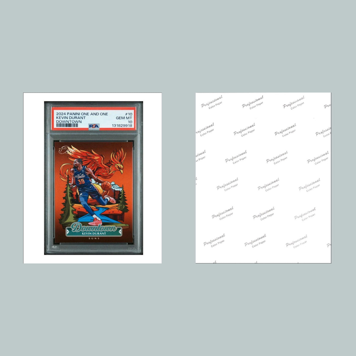 0910 P -8X10 Kevin Durant 8x10 Glossy Photo - Fast-Secure Shipping BKL