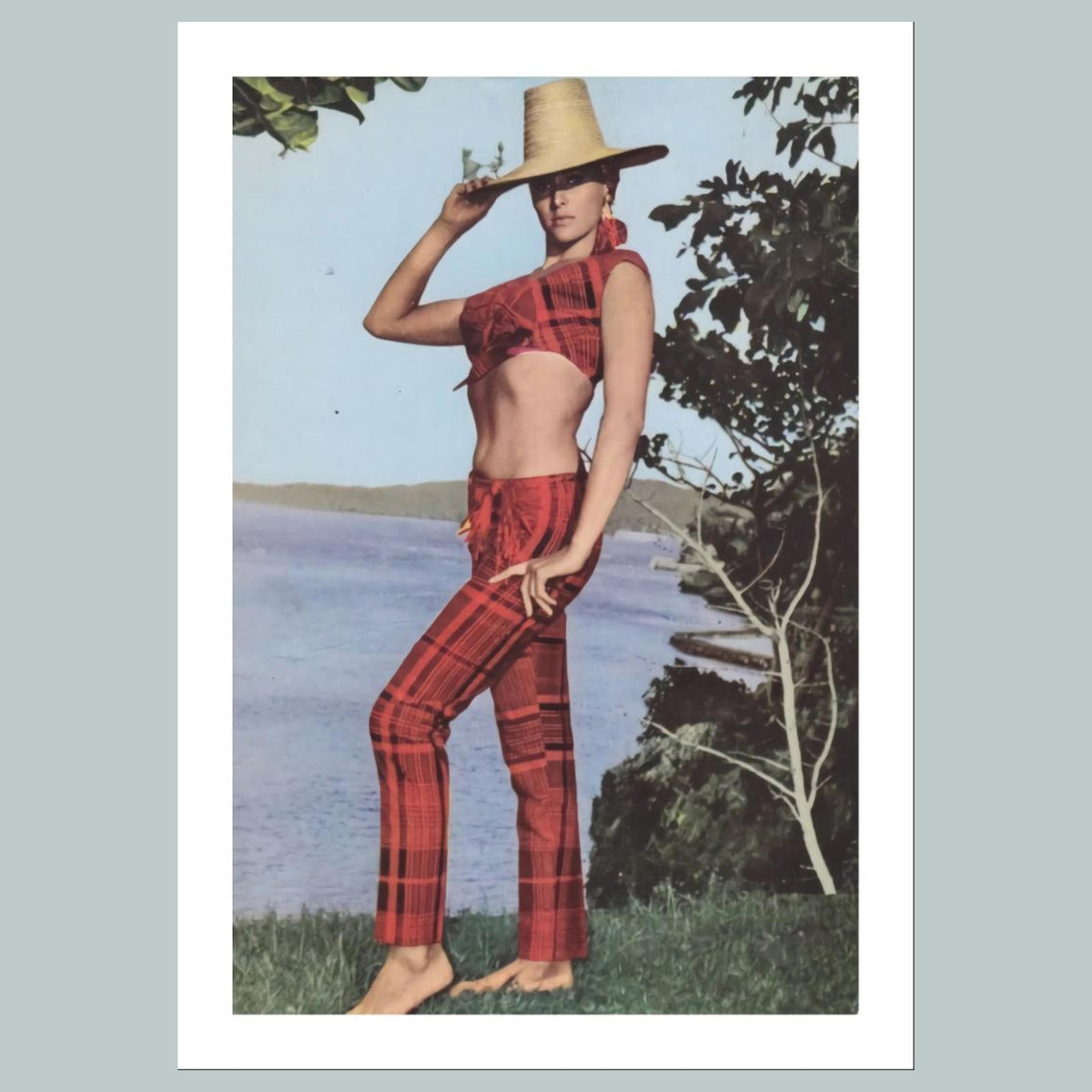 1535 Ursula Andress 8x10 Glossy Photo Fast-Secure Shipping MS