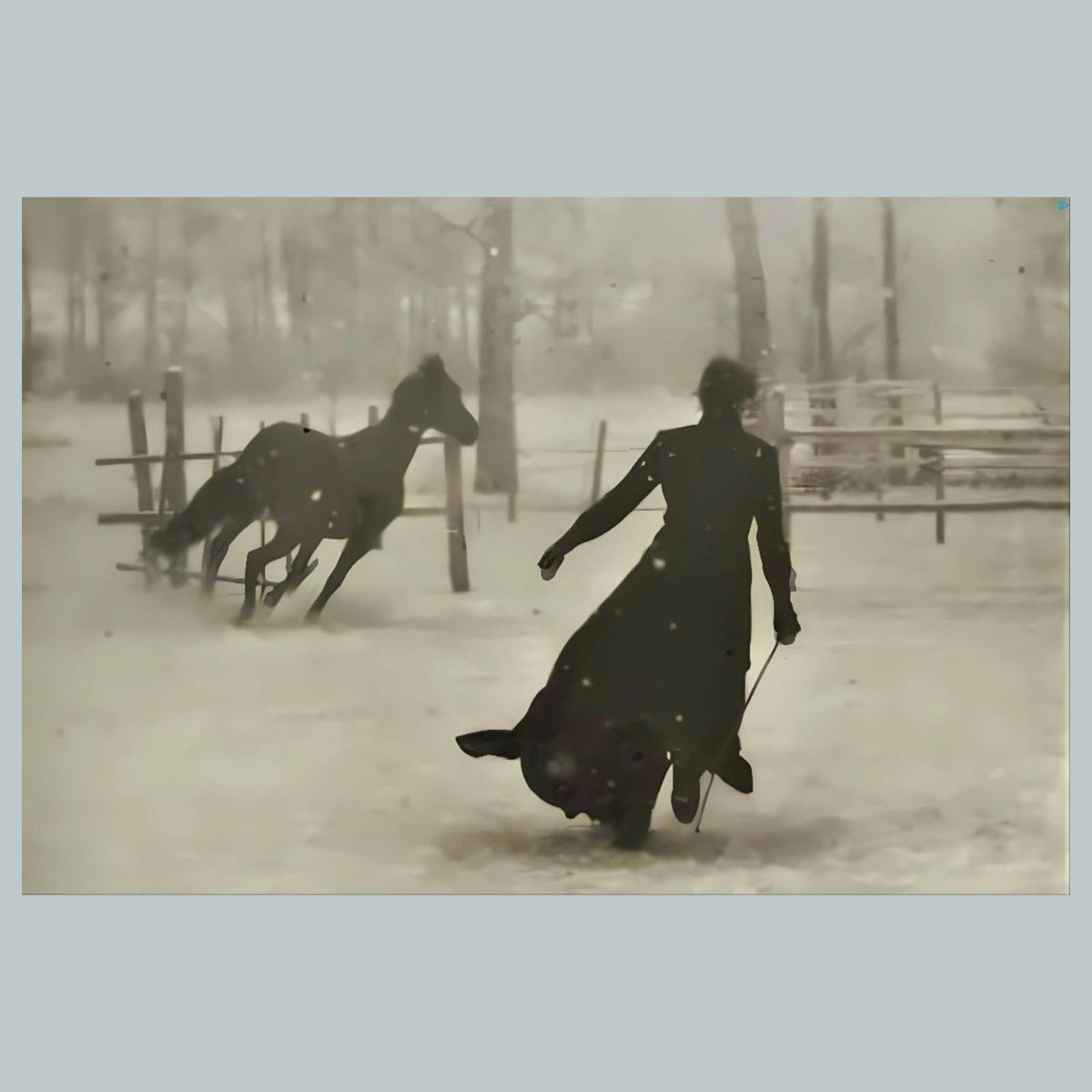 1279 Lady and her horse on a snowy day 8x10 Glossy Photo - Fast-Secure Shipping