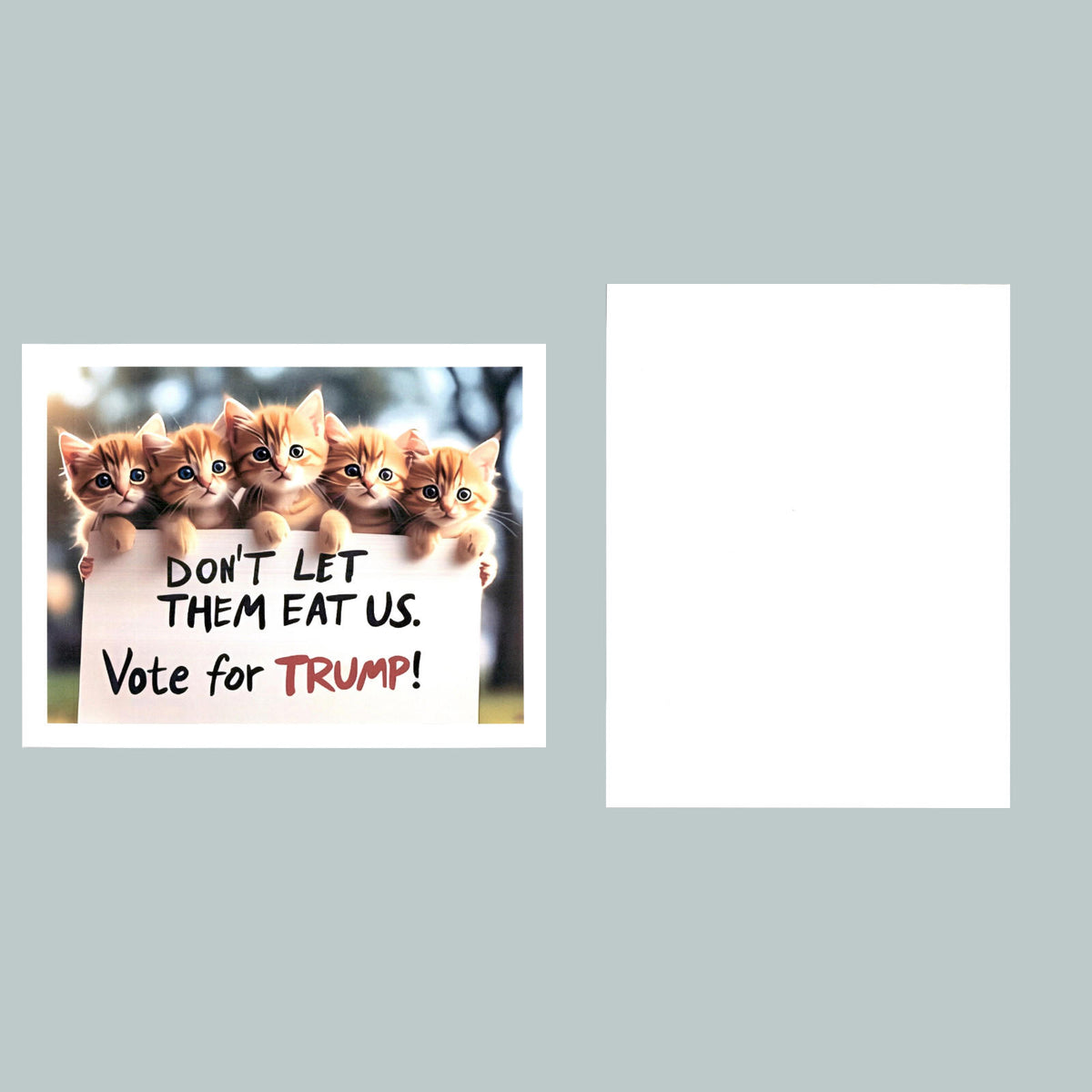 0198 P -8X10 Trump 5 Kittens With Sign Glossy Photo Fast-Secure Shipping MS