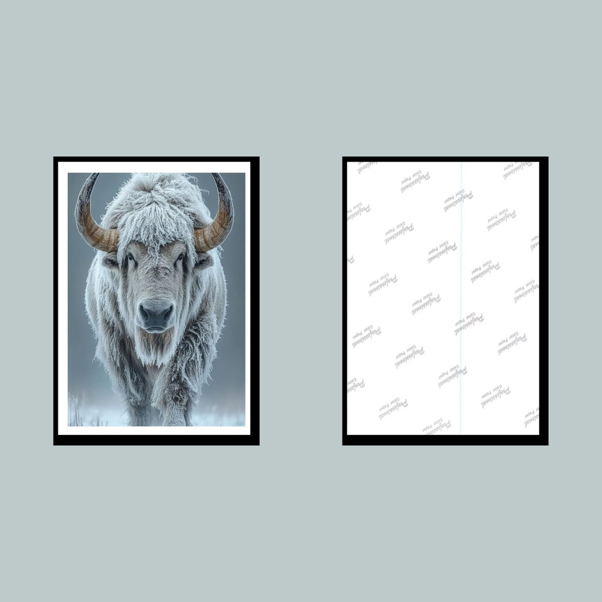 0363 P -8X10 Bison Glossy Photo Fast-Secure Shipping MS