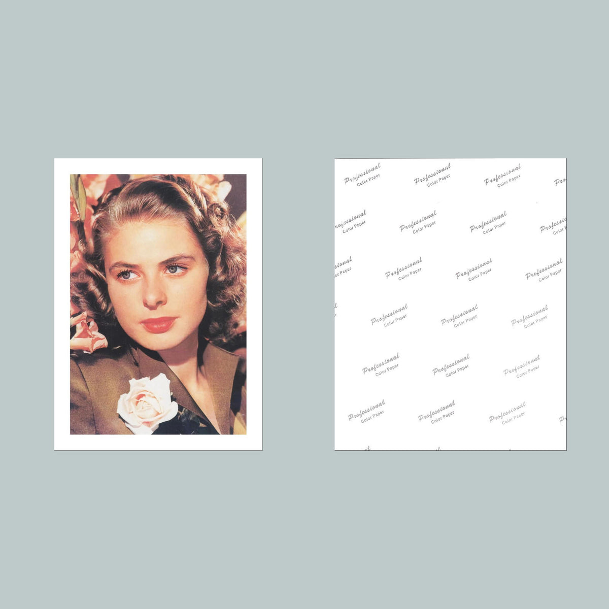 1524 Ingrid Bergman 8x10 Glossy Photo Fast-Secure Shipping MS