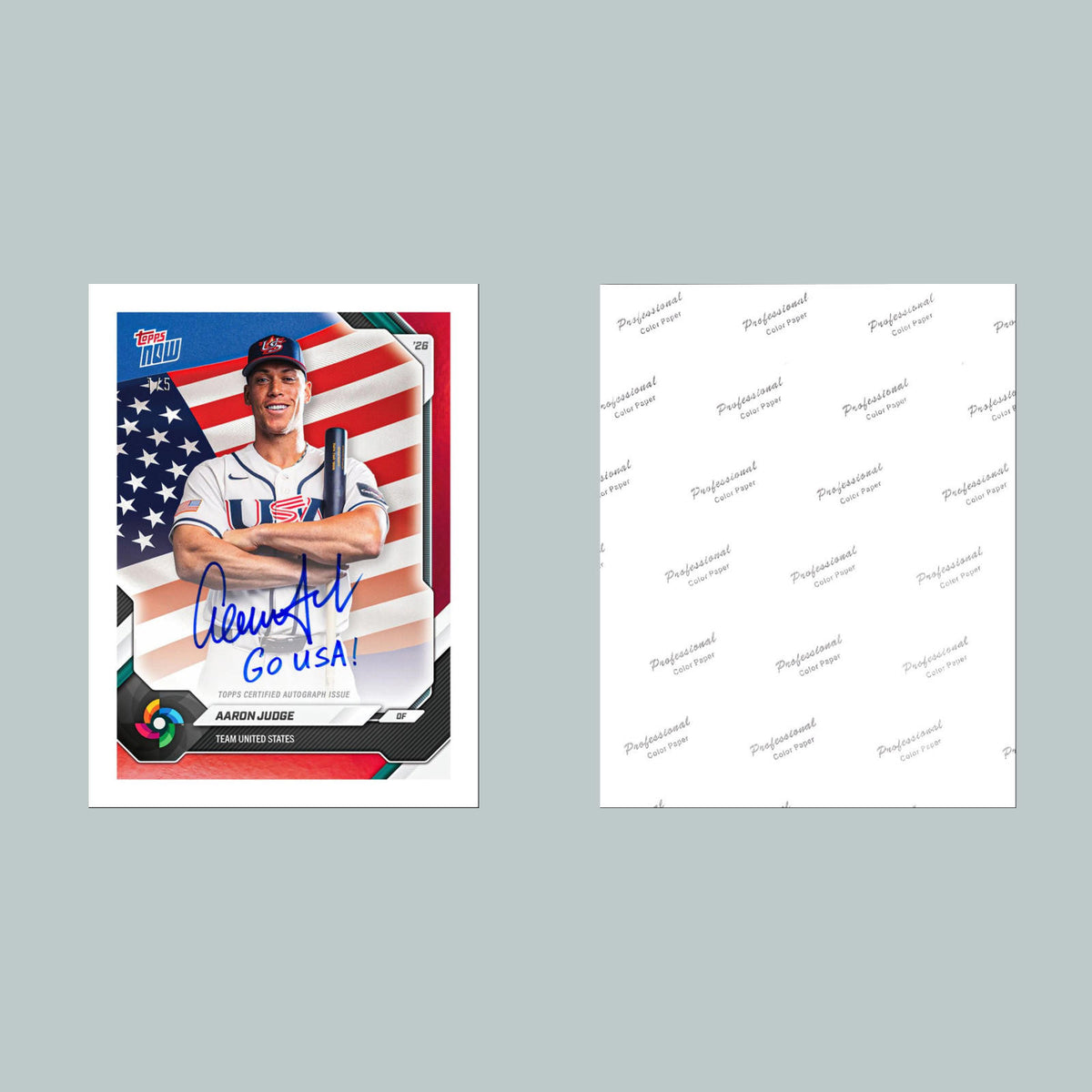 1516 Aaron Judge Fac Auto WBC 8x10 Glossy Photo Fast-Secure Shipping BBL