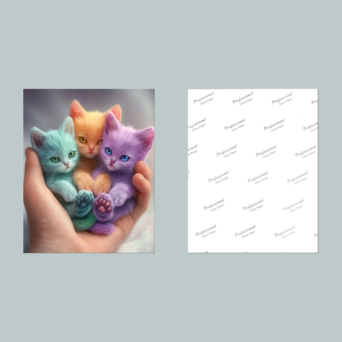 0798 P -8X10 Colorful Kittens Glossy Photo Fast-Secure Shipping MS
