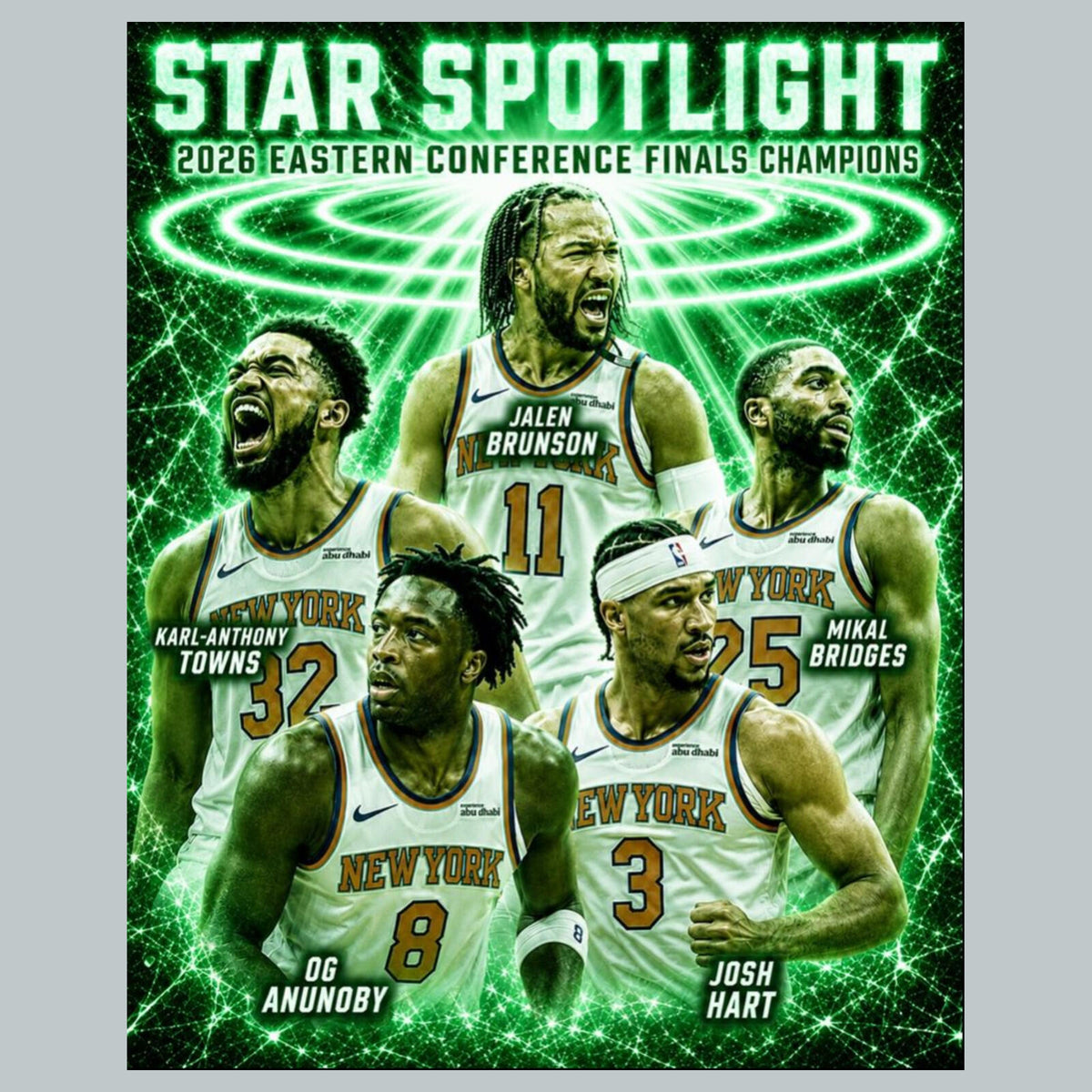 2732 Knicks Spotlight Vert Green Ice Edition  /10 8x10 Zoom Art Giclée Print BKL