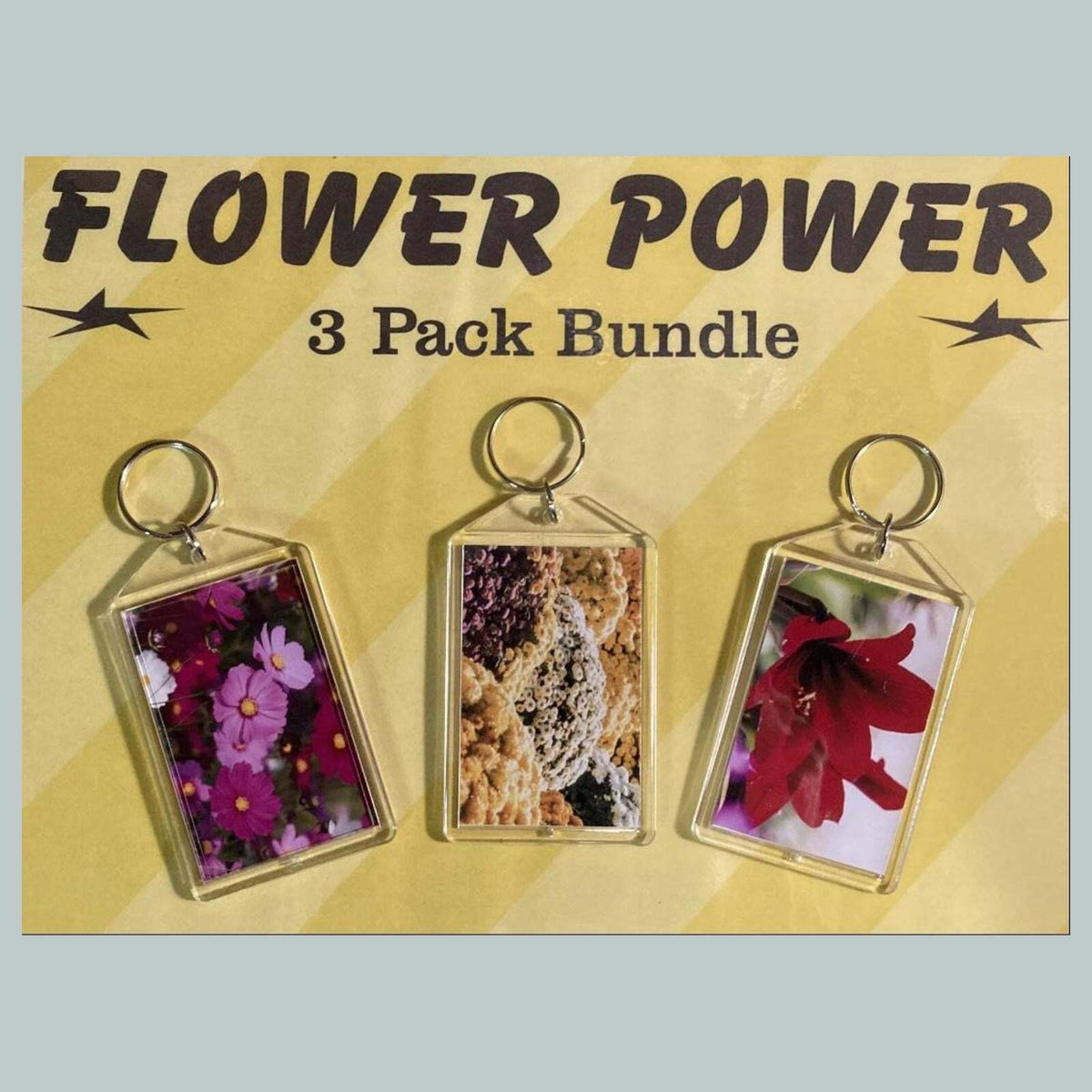 3687B Threefer Bundle Cosmos/Chrysanthemu/Amaryllis Acrylic Keychain