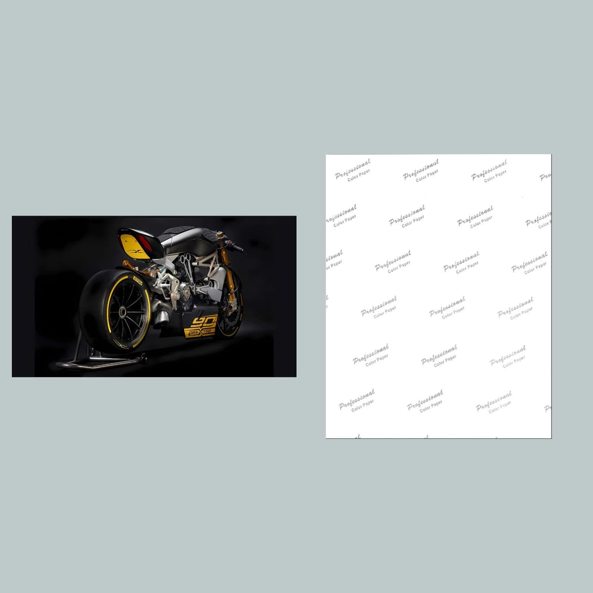 1452 Dragxter-2 8x10 Glossy Photo MS