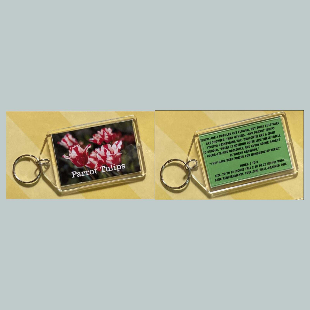 3671 Parrot Tulips Custom Hand Made Keychain