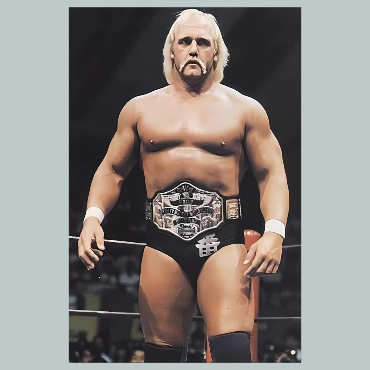 1254 Hulk Hogan 8x10 Glossy Photo - Fast-Secure Shipping MS