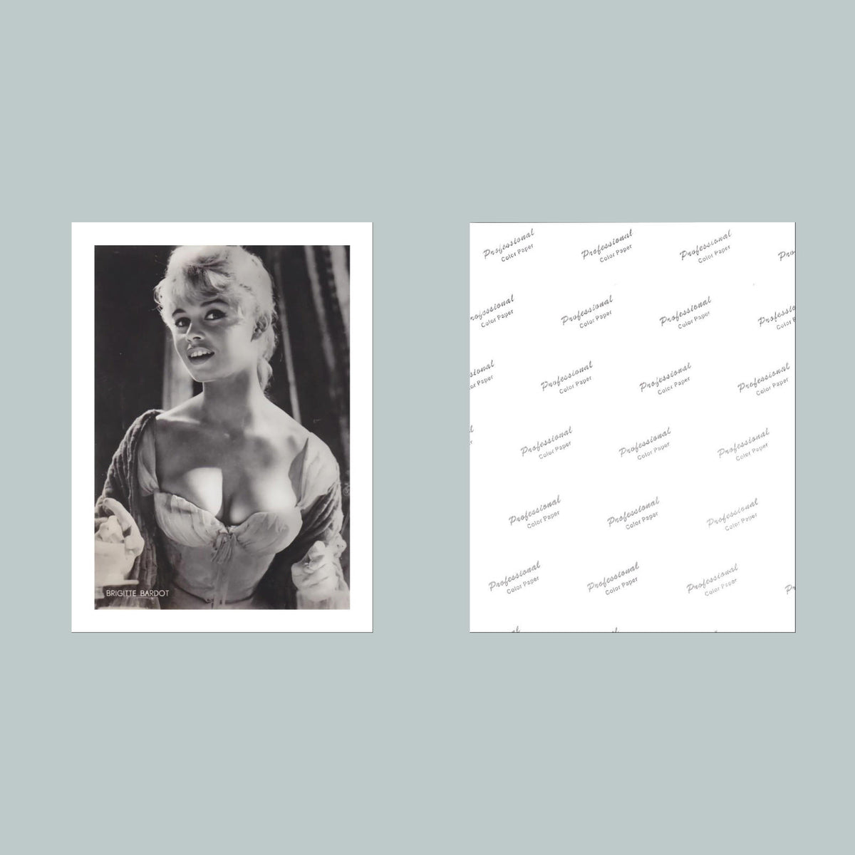 1509 Brigitte Bardot 8x10 Glossy Photo Fast-Secure Shipping MS