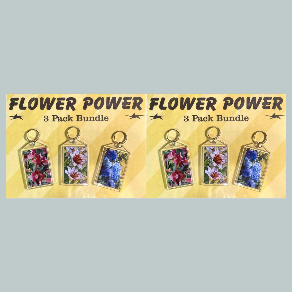 3676B Threefer Bundle Kohleria-Painted Tongue-Hydrangea Acrylic Keychain