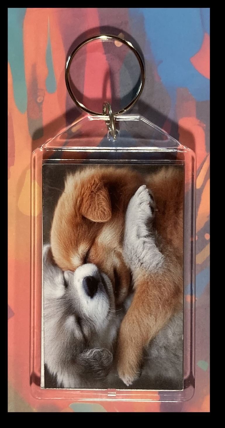 3296 Puppys Cuddling Custom Hand Made Keychain - Makes A Great Gift