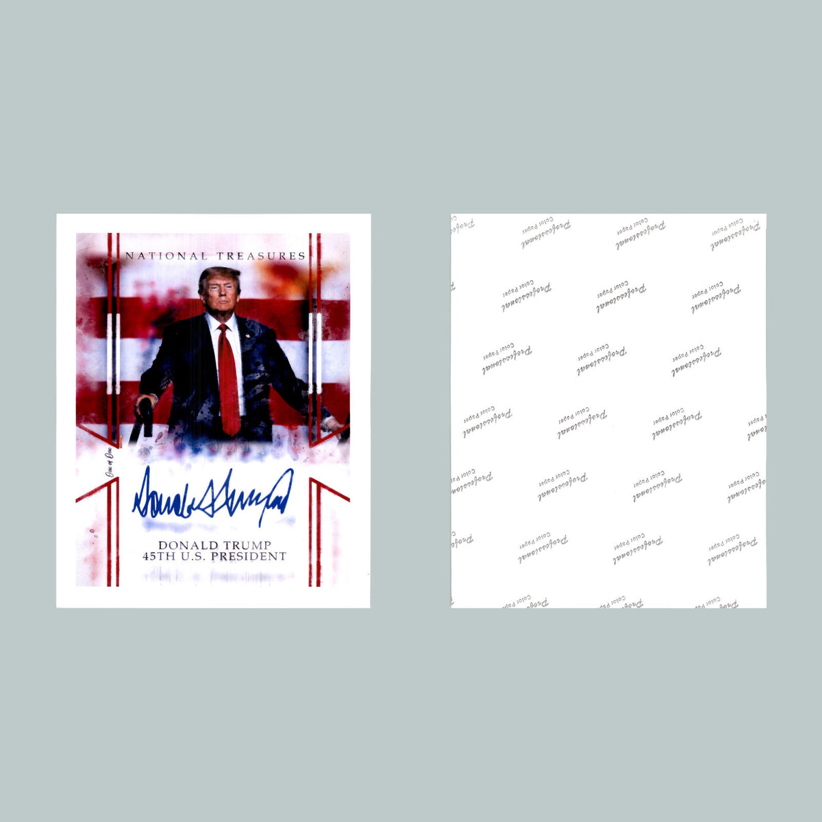 0494 P-8X10 Trump National Treasures Auto Glossy Photo Secure Ship MS