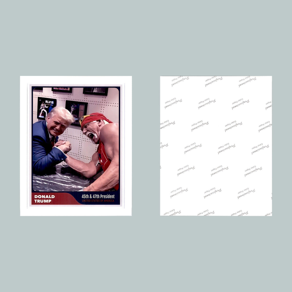 0518 P-8X10 Trump And Hulk Hogan Baseball Card Glossy Photo Fast-Secure Ship MS