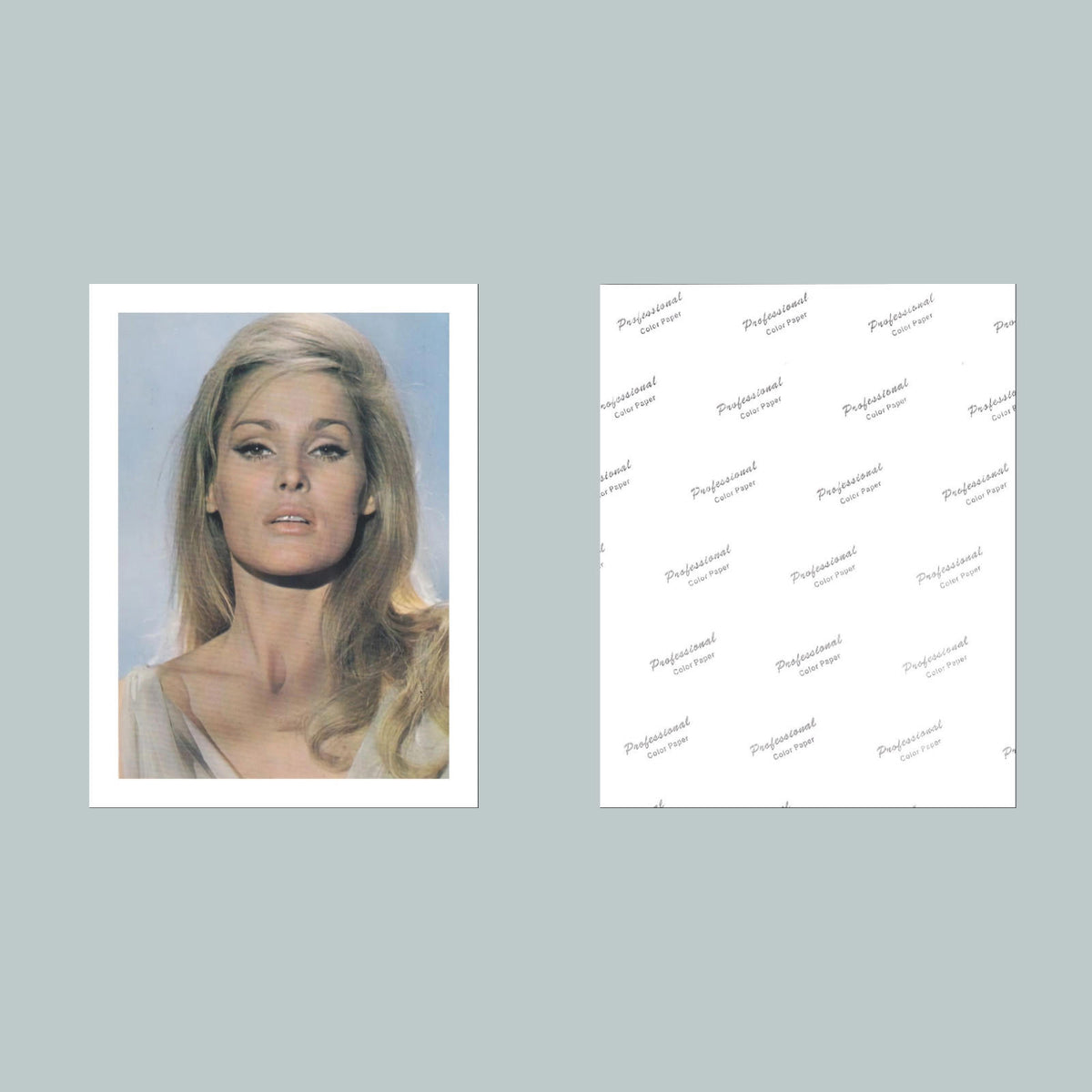 1534 Ursula Andress 8x10 Glossy Photo Fast-Secure Shipping MS