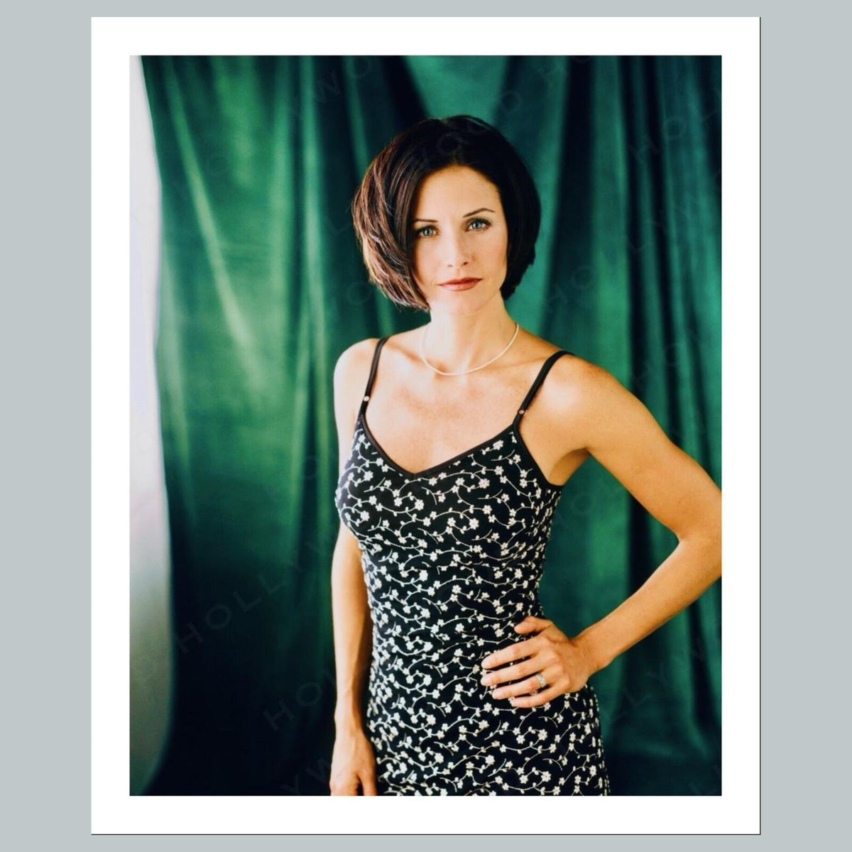 2069 Courteney Cox 8x10 Glossy Photo - Fast-Secure Shipping MS