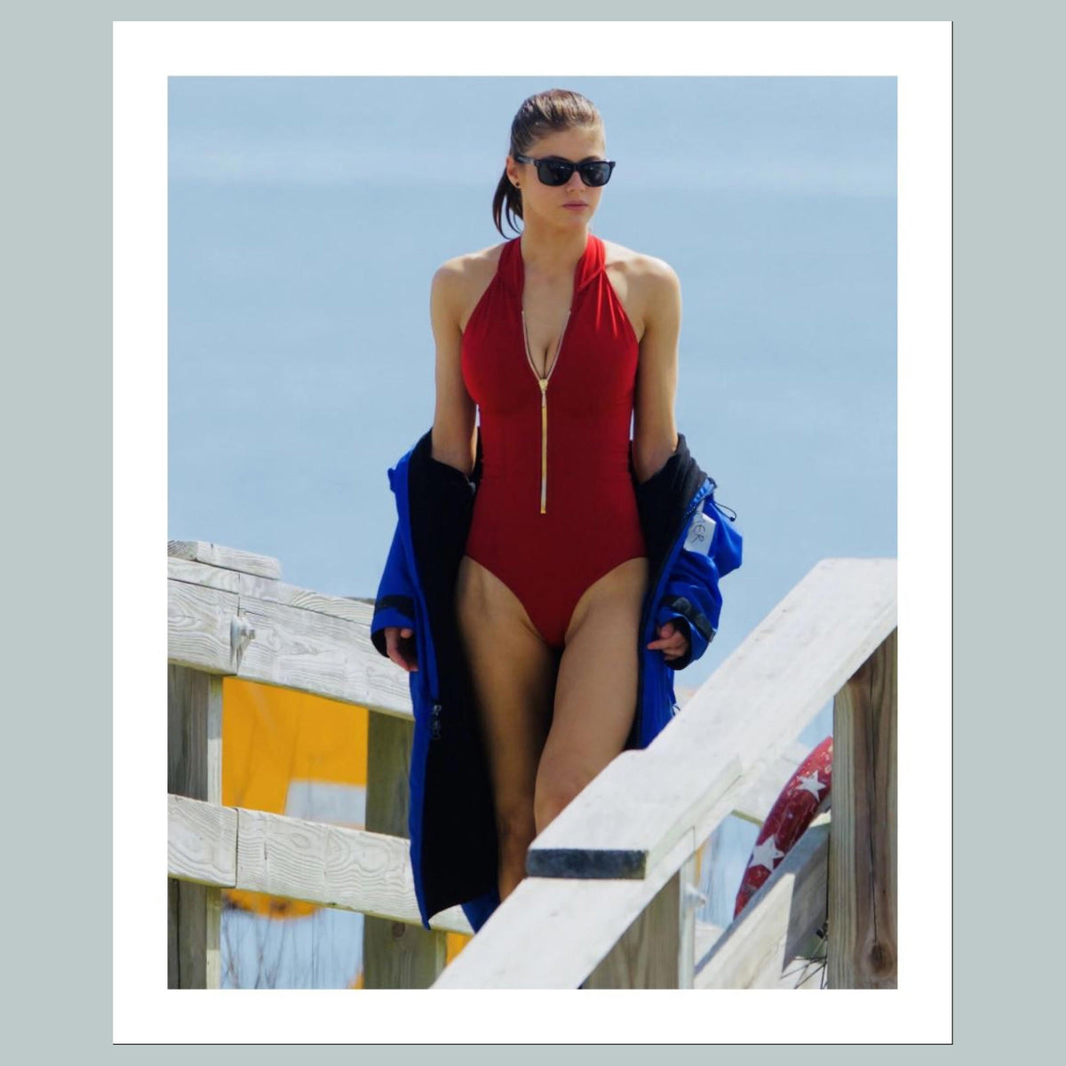 1629 Alexandra Daddario 8x10 Glossy Photo- Fast-Secure Shipping