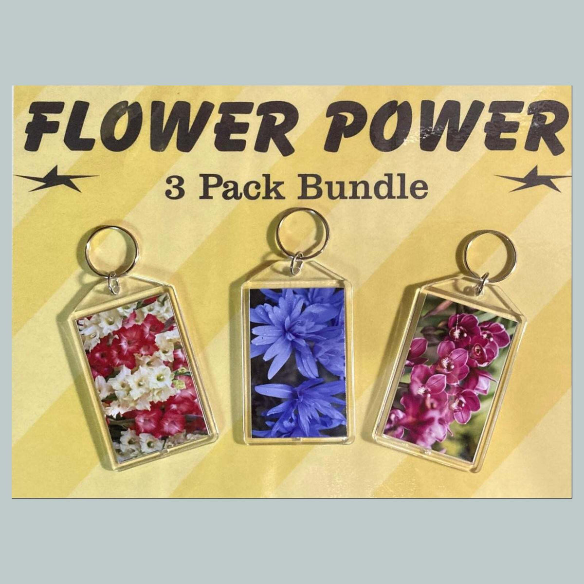 3706B Threefer Bundle Gladiolus/Crocus/Orchids Acrylic Keychain | Great Gift