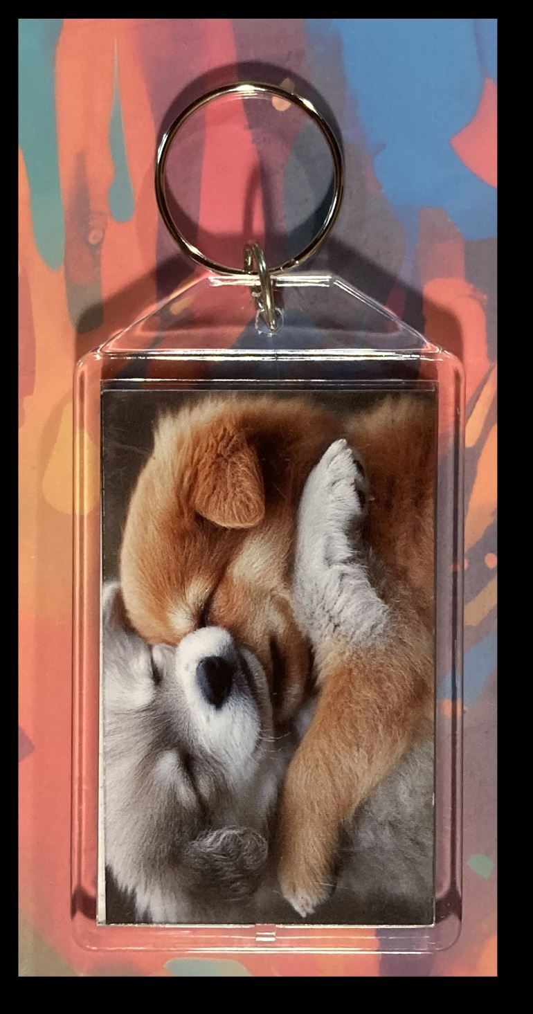 3296 Puppys Cuddling Custom Hand Made Keychain - Makes A Great Gift