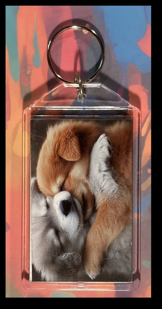 3296 Puppys Cuddling Custom Hand Made Keychain - Makes A Great Gift