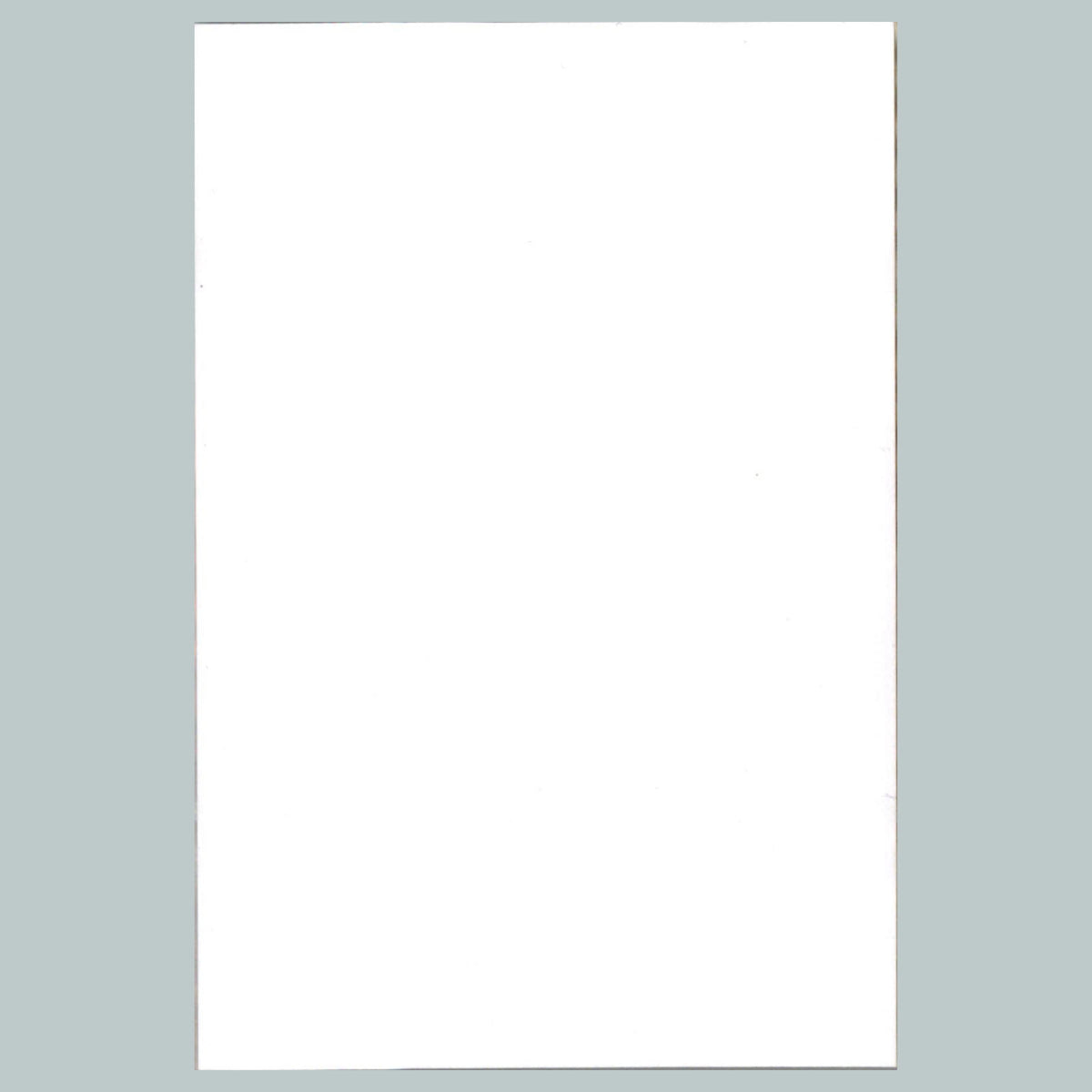 0327 P -8X10 Pinup White Lingerie Glossy Photo Fast-Secure Shipping MS
