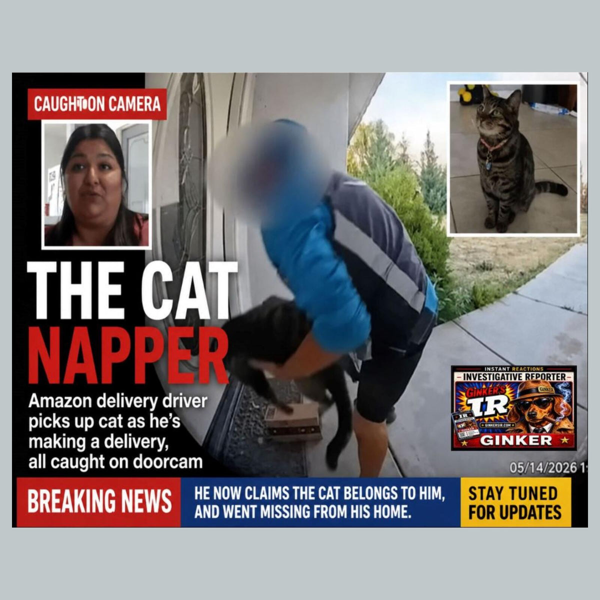 2841 Cat Napper Naps Cat While Napping | Ginker’s Instant Reactions 8X10 Print