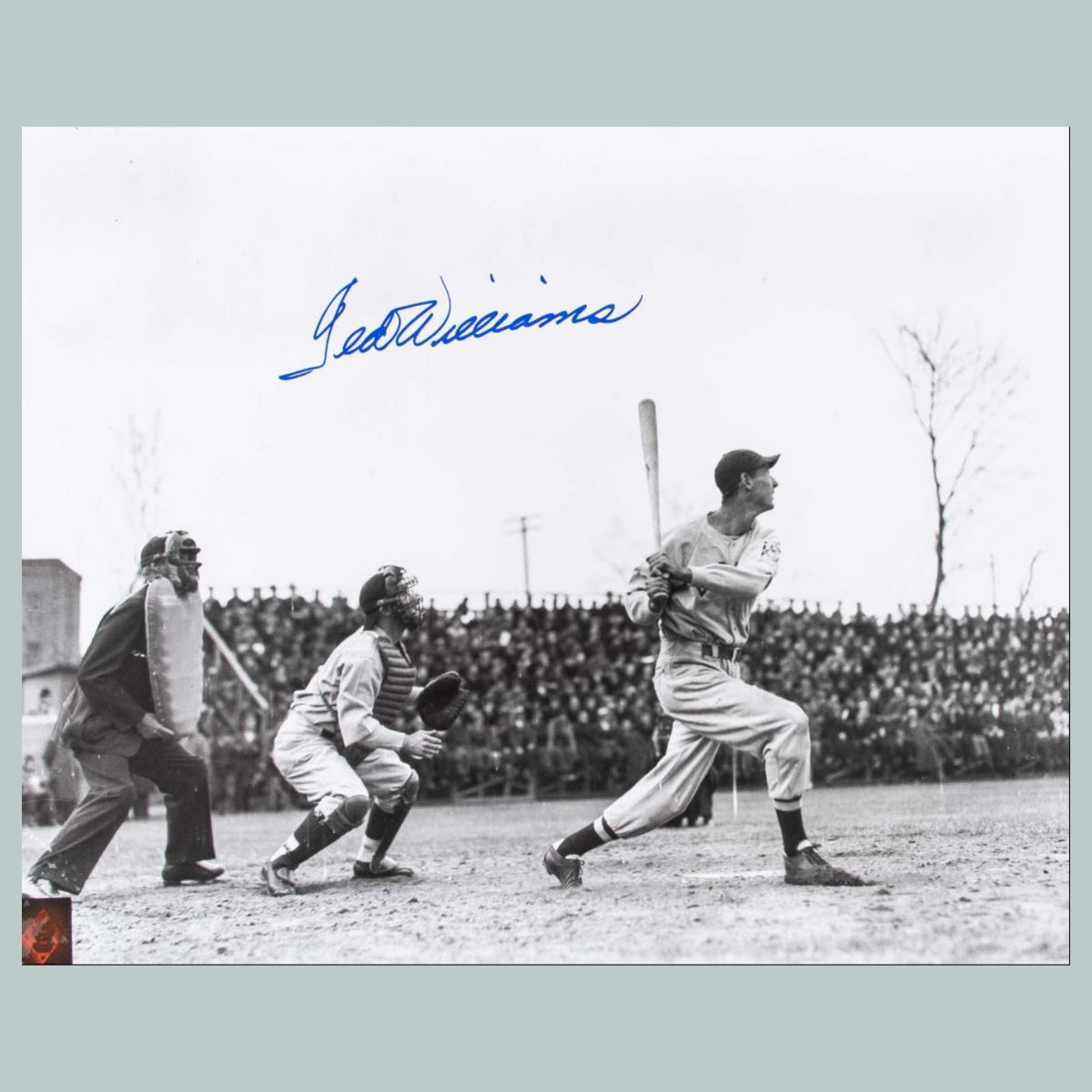 0789 P -8X10 Ted Williams Fac Auto Glossy Photo Fast-Secure Shipping BBL