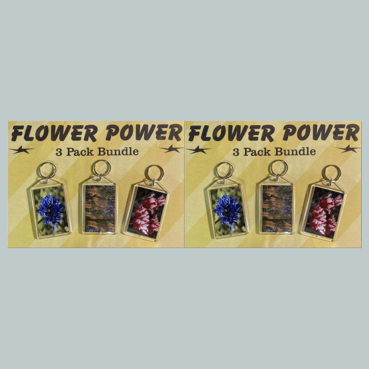 3701B Threefer Bundle Lily of the Nile/Foxtail Lily/Tulipss Acrylic Keychain