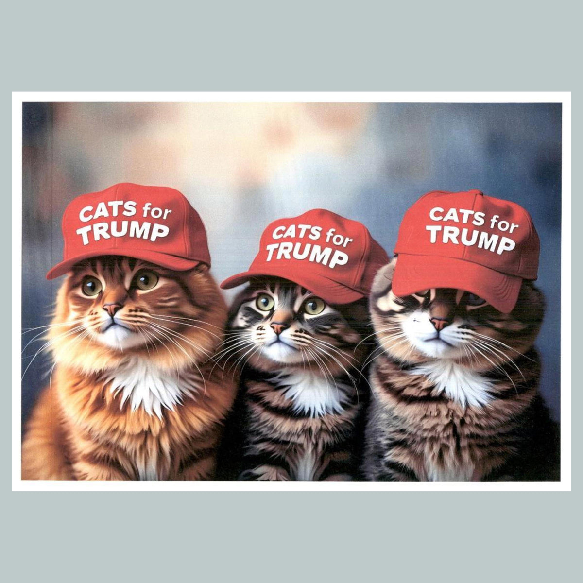 0201 P -8X10 Trump 3 Cats For Trump Glossy Photo Fast-Secure Shipping MS