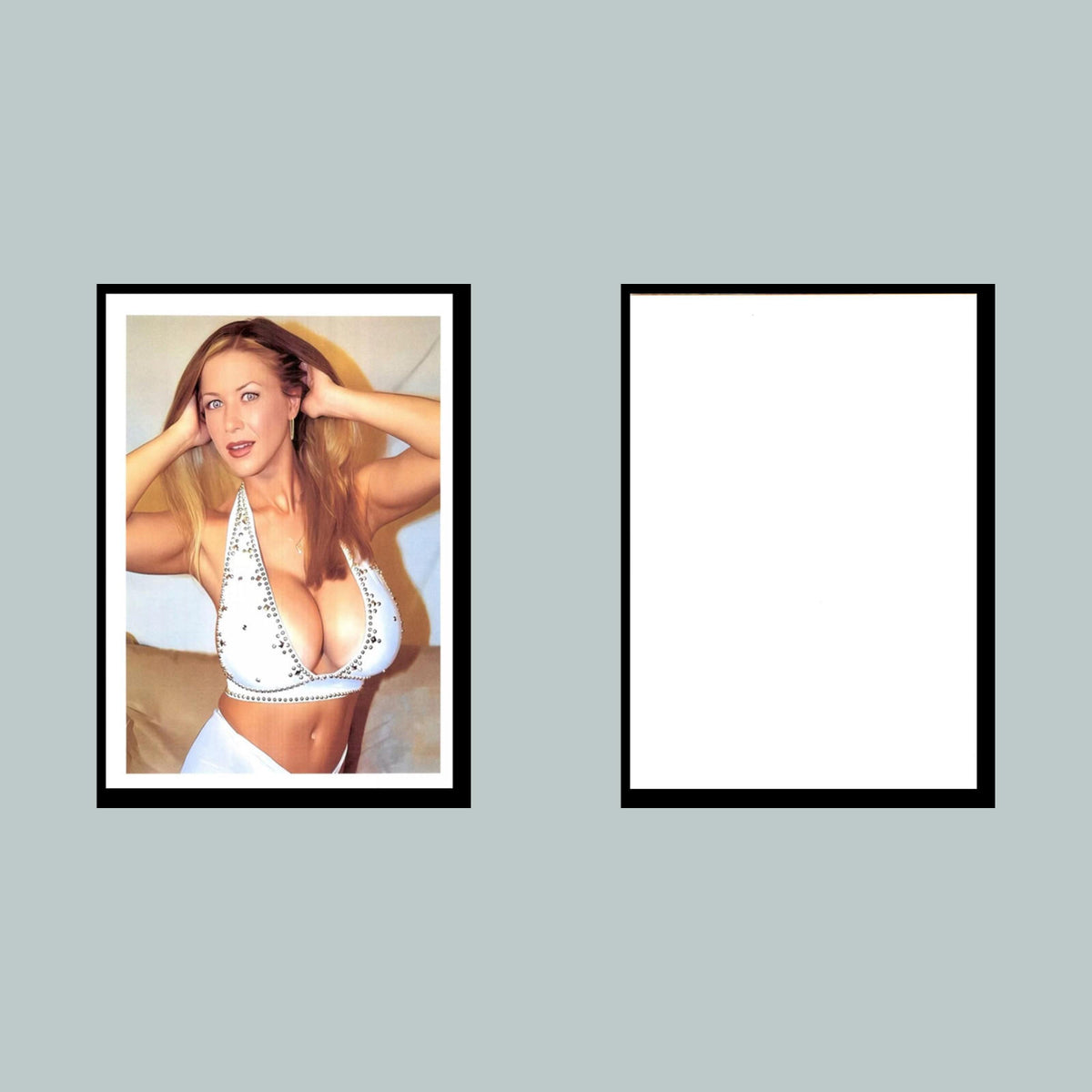 0046 P-8X10 Pinup Sequins Glossy Photo Fast-Secure Shipping