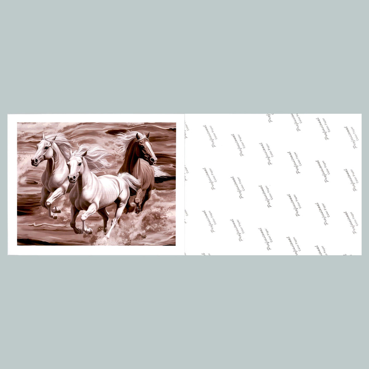 0510 P-8X10 Wild Horses Glossy Photo Fast-Secure Shipping MS