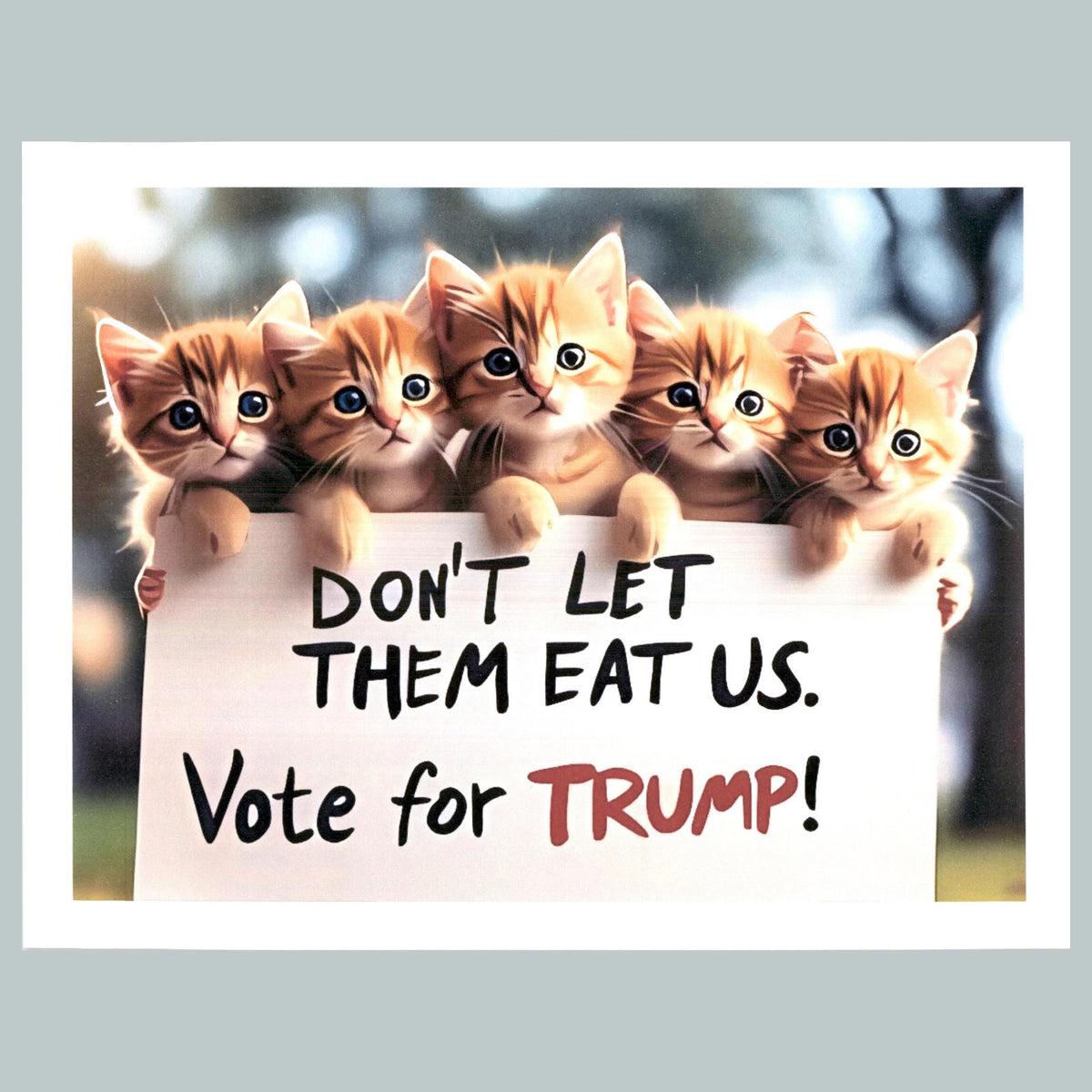 0198 P -8X10 Trump 5 Kittens With Sign Glossy Photo Fast-Secure Shipping MS