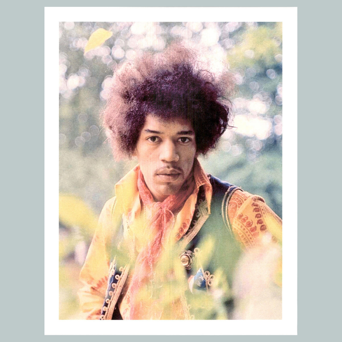 0050 P-8X10 Jimi Hendrix Field Glossy Photo Fast-Secure Shipping