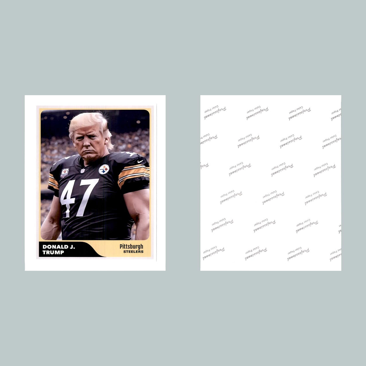 0497 P-8X10 Trump Steelers Glossy Photo Fast-Secure Shipping MS