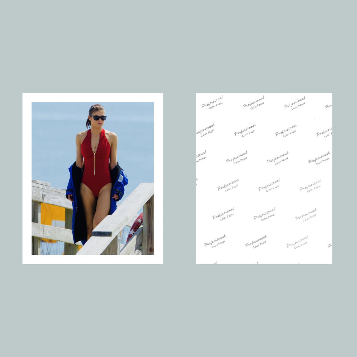 1629 Alexandra Daddario 8x10 Glossy Photo- Fast-Secure Shipping